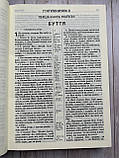 Біблія вишневого кольору, сучасний переклад Р. Турконяка, вишнева, 17х24,5 см, великий формат, фото 5