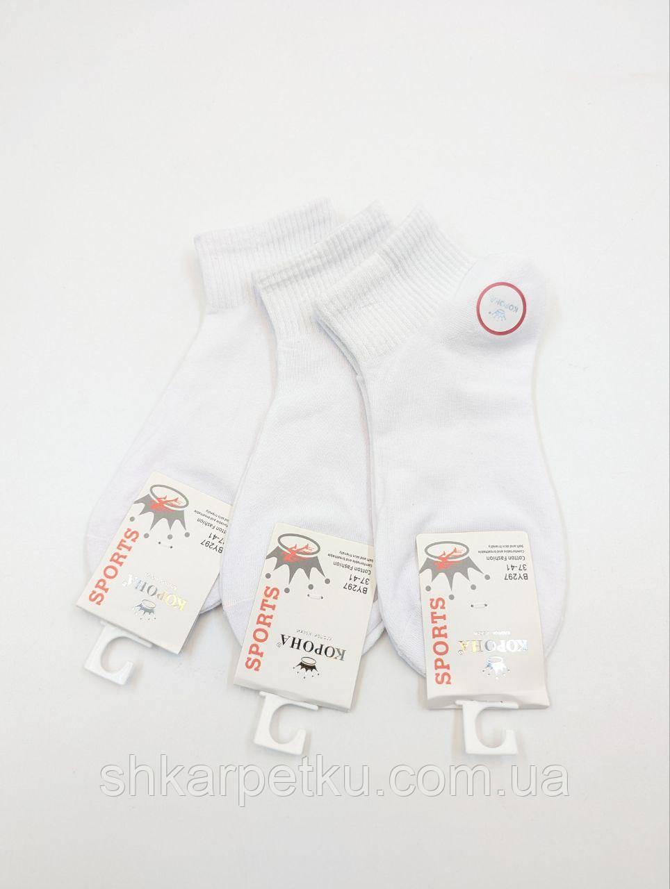 Жіночі короткі літні шкарпетки Корона BY297 бавовняні однотонні спортивна резинка, 37-41, 10 пар/уп., фото 1