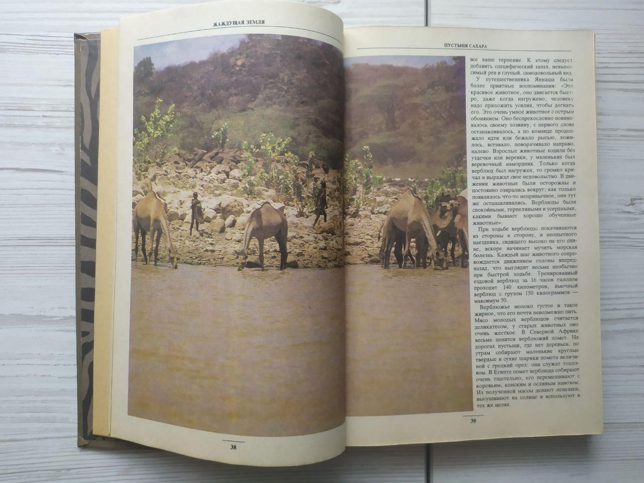 Product image preview