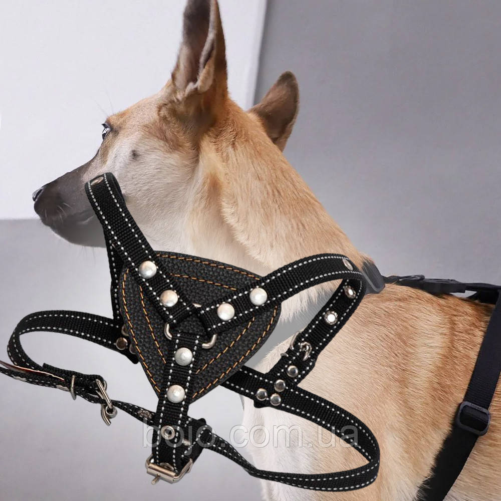 Шлея №380 Серце 20, Чорний (2021)