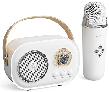 Портативна міні Bluetooth караоке колонка з мікрофоном FM радіо, фото 1