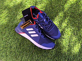 Чоловічі Кросівки Adidas TERREX 250 Continental темно-сині з білим сітка унісекс демі, фото 4