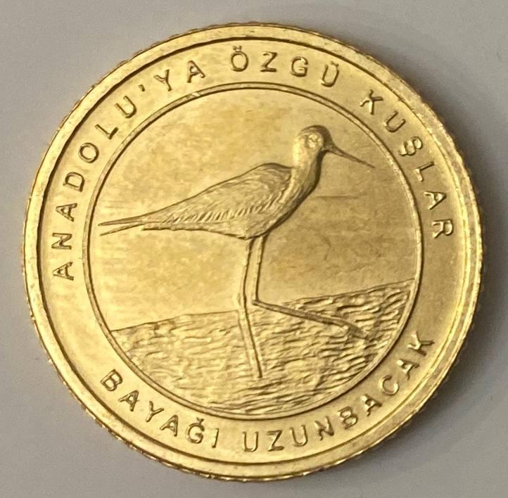 Монета Туреччини 1 куруш 2021 р. Ходулочник, фото 1