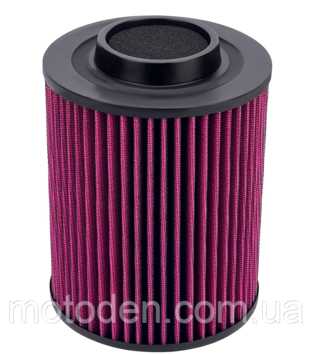 Повітряний фільтр з паливним для Polaris RZR 800 Ranger 800 900 OEM 1240434