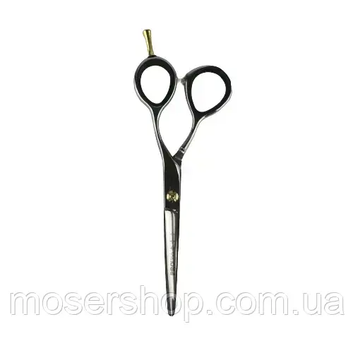 Ножиці для стрижки Proline 5.5" (AIE03-55)