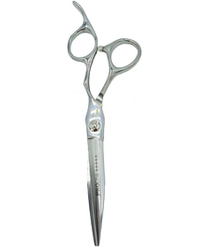 Перукарські ножиці для стрижки прямі PROLINE A5X60 6.0"