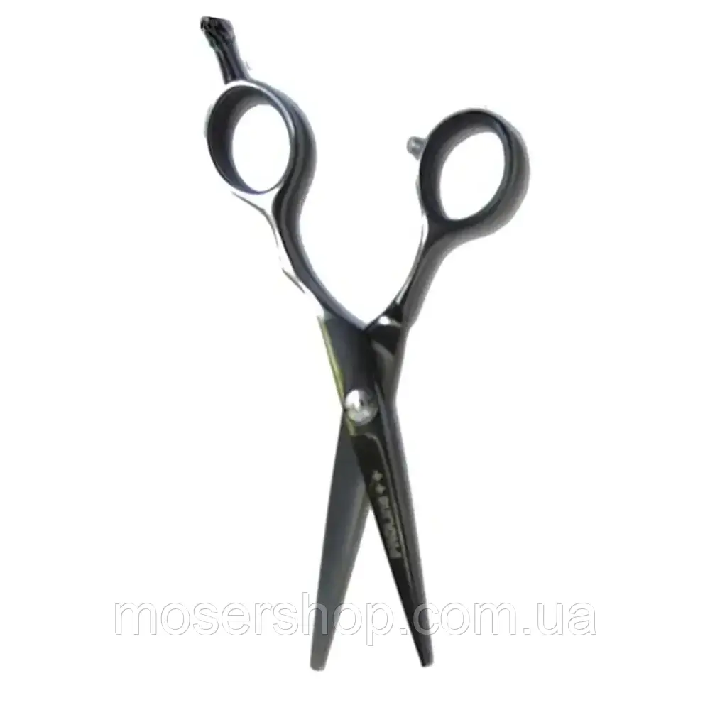 Ножиці для стрижки PROline 5.5" (R1-55)