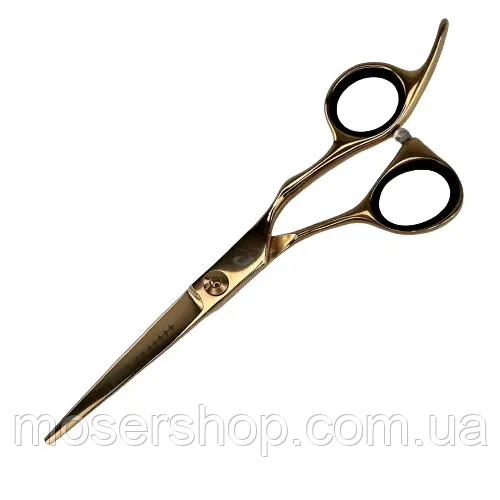 Ножиці для стрижки Proline 5.5 (RZL55-5.5)