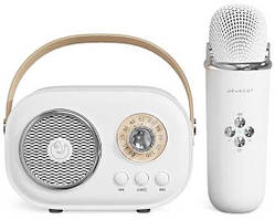 Bluetooth-колонка для караоке з мікрофоном на акумуляторі C20 Plus