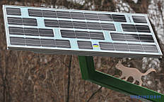 "Солнечное дерево", Киевский зоопарк 3