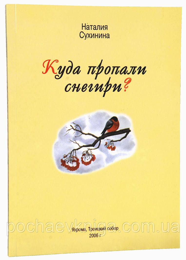 Куди зникли сніговики?, фото 1