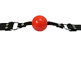 Кляп DS Fetish з силіконовою червоною кулькою та шкіряним чорним ремінцем kitty.in.ua, фото 3