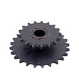 Подвійна зірочка транспортерного картоплекопача (ККд24), фото 2