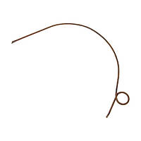 Пружина (граблі) (ГРд1)