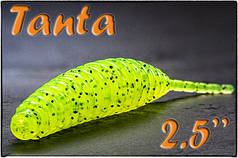 Tanta 2.5"