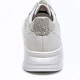 Жіночі шкіряні кросівки білого кольору на шнурівці з перфорацією 230471(229) розмір 36, фото 6