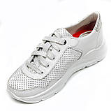 Жіночі шкіряні кросівки білого кольору на шнурівці з перфорацією 230471(229) розмір 36, фото 8