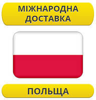 Міжнародні Перевезення: Польща / з Польщі / до Польщі