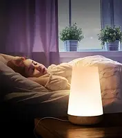 Нічник настільний світильник для дому акумуляторний Pat light HA-114 з пультом