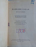 Домрачів Г. В. Хвороби собак (незаражні). Б/у., фото 4