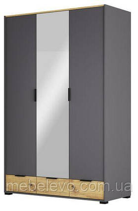 Шафа Каміла 3ДЗ 2200х1425х615мм дуб артизан + графіт Світ меблів, фото 1