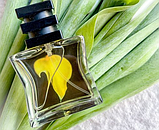 SG79 STHLM № 23 Yellow Парфумована вода унісекс, 1 мл (Пробник), фото 3