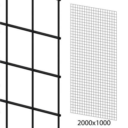 Торгова сітка 100х200 см, осередок 50х50 мм, D 3,0 мм, чорна, фото 1