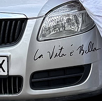 Виниловая наклейка La vita è bella Жизнь прекрасна 46 х 8,6 см, фото 6