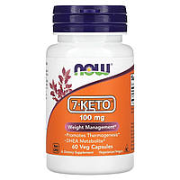 7-Кето Now Foods (7-KETO DHEA) 100 мг 60 капсул