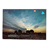 Набір монет Нідерланди  1991  UNC, фото 4