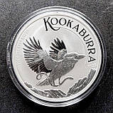 Срібна колекційна монета Кукабарра 2024 Австралія, 1 унція, срібло 999.9 проба, 1 долар, фото 9