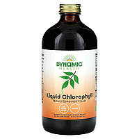 Dynamic Health  Laboratories, Жидкий хлорофилл, натуральная мята колосистая, 100 мг, 473 мл (16 жидк. Унций)