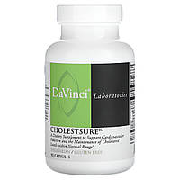DaVinci Laboratories of Vermont, Cholestsure, 90 капсул