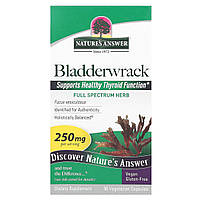 Nature's Answer, Bladderwrack, 250 мг, 90 вегетаріанських капсул