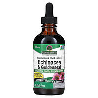 Nature's Answer, Echinacea & Goldenseal, без спирту, 120 мл (4 рідк. унції)
