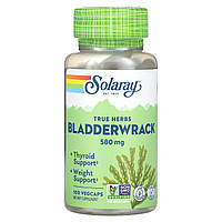 Solaray, True Herbs, сечовий рак, 580 мг, 100 капсул VegCap