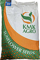 Насіння під гранстар (Флокс). 51ц/га, 110 днів, A-G, олія 51%. Фракція Екстра