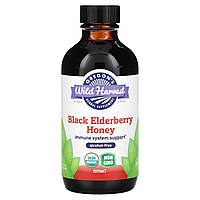 Oregon's Wild Harvest, екстракт чорної бузини та мед, без спирту, 118 мл (4 рідк. унції)