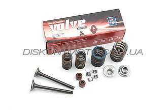 Клапани для китайського скутера (пара, в збірі) 4T GY6 50 139QMB SUNNY