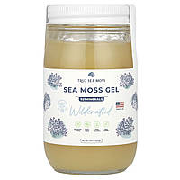 True Sea Moss, гель із морським мохом, дикоросло, 453 г (16 рідк. унцій)