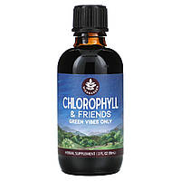 WishGarden Herbs, Chlorophyl & Friends, 59 мл (2 рідк. унції)