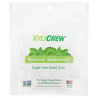 XyliDENT, Xylichew, натуральна м’ята кучерява, 50 шматочків, 65 г (2,29 унції)