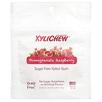 XyliDENT, Xylichew®, гранат і малина, 50 шматочків, 65 г (2,29 унції)