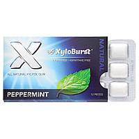 Xyloburst, Жуйки, ксилітолова камедь, перцева м’ята, 12 шт
