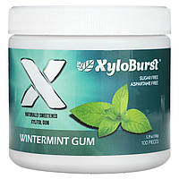 Xyloburst, ксилітолова смола, м’ятна жувальна смола, 100 штук, 150 г (5,29 унції)