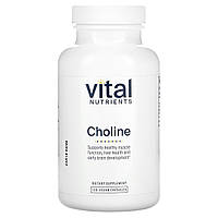 Vital Nutrients, холін, 120 веганських капсул
