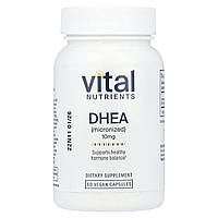 Vital Nutrients, ДГЕА (мікронізований), 10 мг, 60 веганських капсул