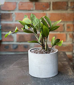 Бетонний горщик циліндричний.Бетонне кашпо.Вазон Бетонний