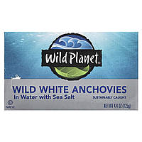 Виловлені в диких умовах білі анчоуси в воді з морською сіллю, Wild Planet, 4,4 унц (125 г)