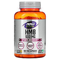 Гідроксиметилбутират ГМБ Now Foods (HMB Sports) 500 мг 120 капсул